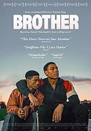 Download Brothers (2022) Dual Audio (Hindi-Chinese) 480p [310MB] || 720p [783MB] || 1080p [2.4GB]