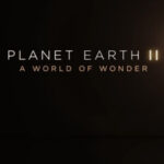 Download Planet Earth II: A World of Wonder (2017) {English} WebRip 720p [816MB] || 1080p [1.5GB] | VMovies