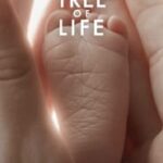 Download The Tree of Life (2011) {English With Subtitles} 480p [750MB] || 720p [1.7GB] | VMovies